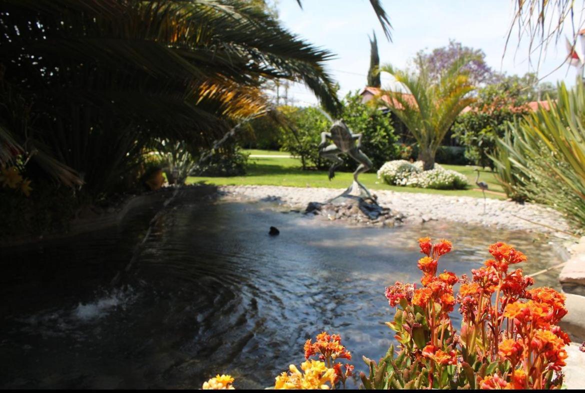 Hotel Palmas Teotihuacan San Juan Teotihuacán Zewnętrze zdjęcie